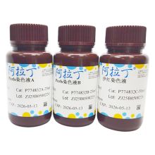 普鲁士蓝染色试剂盒 (伊红法)