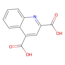 喹啉-2,4-二羧酸