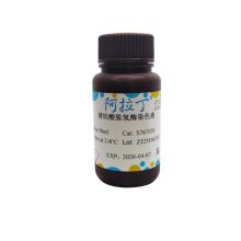 琥珀酸脱氢酶染色液