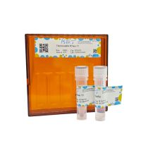 Thermostable RNase H