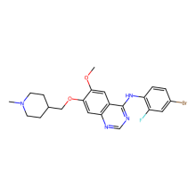 Vandetanib (ZD6474)