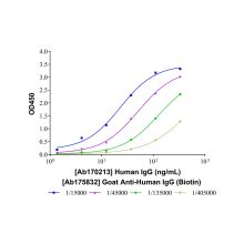 Goat Anti-Human IgG (Biotin)