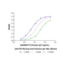 Goat Anti-Chicken IgY H&L (Biotin)