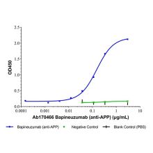 Bapineuzumab (anti-APP)