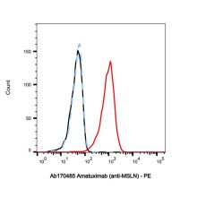 Amatuximab (anti-MSLN)