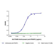 Anifrolumab (anti-IFNAR1)