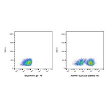 Muromonab (anti-CD3)