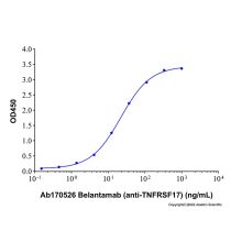 Belantamab (anti-TNFRSF17)