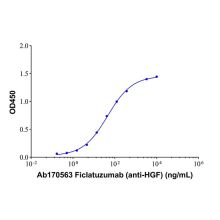 Ficlatuzumab (anti-HGF)