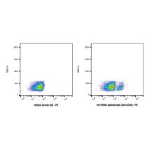 Selicrelumab (anti-CD40)
