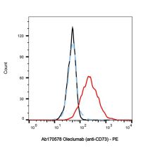 Oleclumab (anti-CD73)