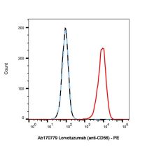 Lorvotuzumab (anti-CD56)