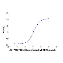 Ranibizumab (anti-VEGFA)