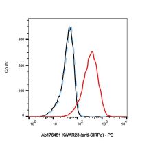 KWAR23 (anti-SIRPg)