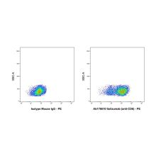 Itolizumab (anti-CD6)