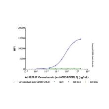 Cevostamab (anti-CD3&FCRL5)