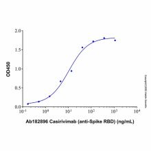 Casirivimab (anti-Spike RBD)