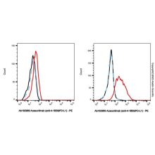 Acasunlimab (anti-4-1BB&PD-L1)