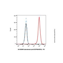 Izalontamab (anti-EGFR&HER3)