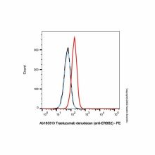Trastuzumab deruxtecan (anti-ERBB2)