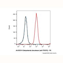Datopotamab deruxtecan (anti-TROP2)