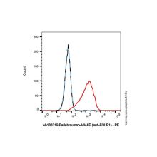 Farletuzumab-MMAE (anti-FOLR1)
