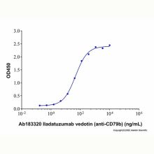 Iladatuzumab vedotin (anti-CD79b)
