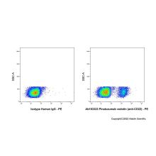 Pinatuzumab vedotin (anti-CD22)