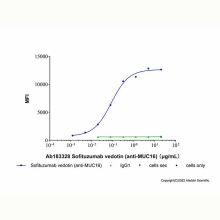 Sofituzumab vedotin (anti-MUC16)