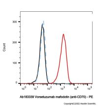 Vorsetuzumab mafodotin (anti-CD70)