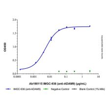 IMGC-936 (anti-ADAM9)