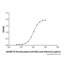 Numab patent anti-HSA (anti-Albumin)