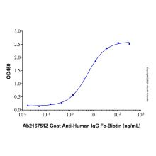 Goat Anti-Human IgG Fc (Biotin)