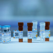 DL10000 DNA Marker
