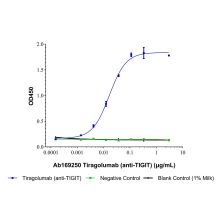 Tiragolumab (anti-TIGIT)