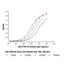 Goat Anti-Rabbit IgG H&L (Biotin)