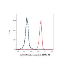Panitumumab (anti-EGFR)