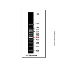 Gelred-prestained DNA Ladder (100-1500bp)