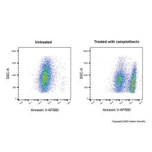 Annexin V-AF680