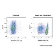 Annexin V-AF750