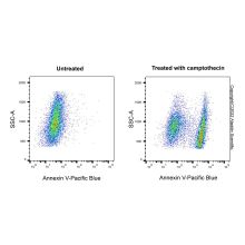 Annexin V-Pacific Blue