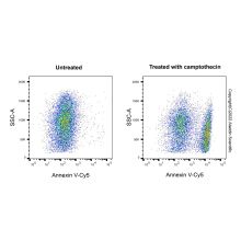 Annexin V-Cy5