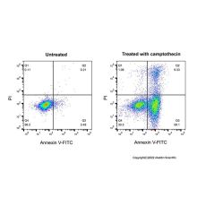 Annexin V-FITC