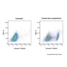 Annexin V-Biotin