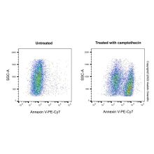 Annexin V-PE-Cy7