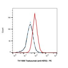 Trastuzumab (anti-HER2)