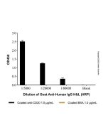 Goat Anti-Human IgG H&L (HRP)