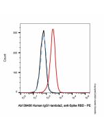 Human IgG1-lambda2, anti-Spike RBD
