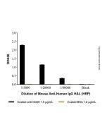 Mouse Anti-Human IgG H&L (HRP)