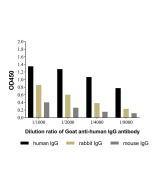 Goat Anti-Human IgG Antibody